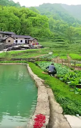 Chợt thấy mình nhỏ bé Giữa nhân sinh vô thường  Nên từ giờ ta sẽ Gieo trồng mầm yêu thương. Mình đâu cần thù hận Rồi oán trách thế nhân Chỉ cần lòng bình lặng An nhiên đang ở gần. Đừng mong cầu hạnh phúc Mà tìm kiếm xa xôi Để một ngày bật khóc 