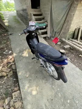 Hay về pô zin đi nhỉ#xuhuongtiktok #manhdung207 #wave125i_ไฟเลี้ยวบังลม #wave24554 #wavedokieng✈️ 