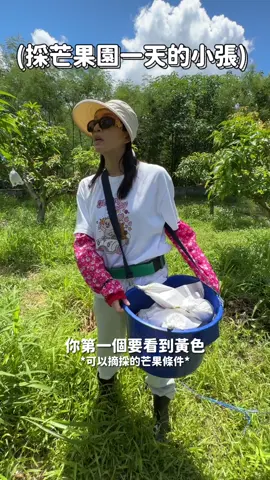 芒果園的小考試！ #veeda #蜜汁肥達 #村裡來了個小張 