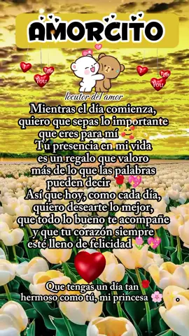 Que tengas un hermoso día amor 😍  goodmorning i love You  buenos días amorcito  #buenosdias #goodmorninglove #creatorsearchinsights #couplegoals #dedicatoriasdeamor #FrasesDeAmor #teamo #locutordelamor 