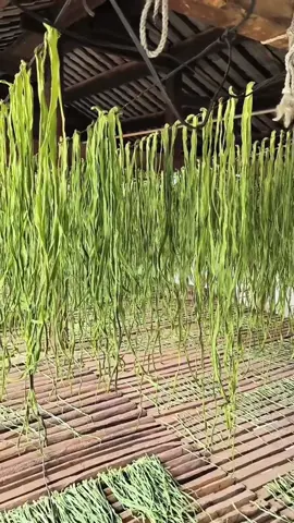 #ancungtiktok #nongsanthuhuyen #raucuqua #rautienvua #xh