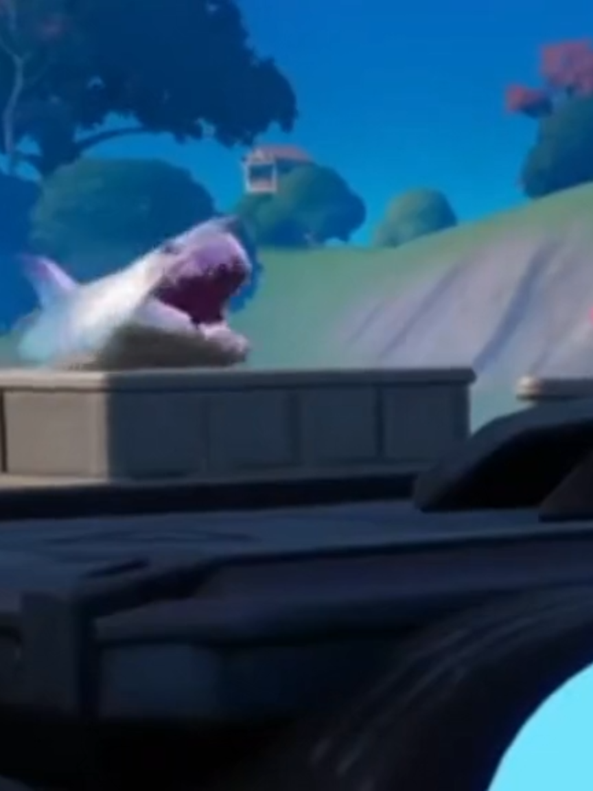 Surprise Shark Attack BEST WIN AT Fortnite #fortnite #fyp #fortniteclips #vira #for#you#foryo #fortnitememe #fortnitebr #fortnitefunny #foryoupag #ogfortnite #fortnitedance #fortnitememe #gamer #Surprise #Shark #gamers #fuuny#epic#dammam #stupid #crazy #b