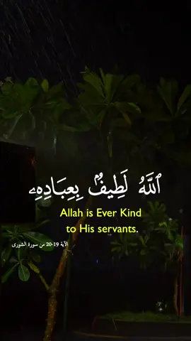 #قوالب_دينية #الله_لطيف_بعباده #عاصم_اللحيدان #قوالب_capcat_ترندات 