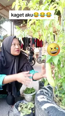 bikin kaget aja😂😂#ngakakparah #tiktoklucu #soundlucu🤣 #hiburantiktok #fyp 