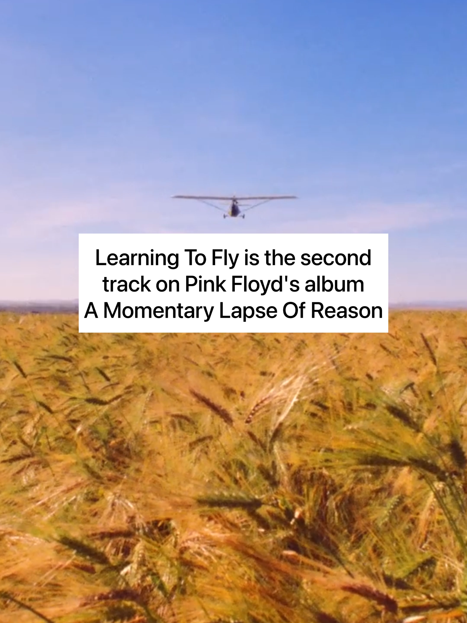 Learning To Fly is the second track on Pink Floyd’s album A Momentary Lapse Of Reason. #PinkFloyd #LearningToFly #AltMusic