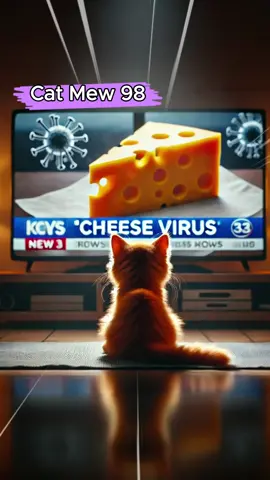 Cat-cheese? It’s a strange virus!