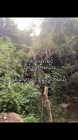 ချစ်နေသေးရင်တောင်မှပေါ့ #foryou #tiktok #fypシ #foryoupage #09 #ပြည့် 