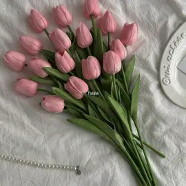 #tulips #tulipsaesthetic #tulipas #aesthetic #aestheticvideos #aestheticedits #explorar #explore #fy #fyp #parati 
