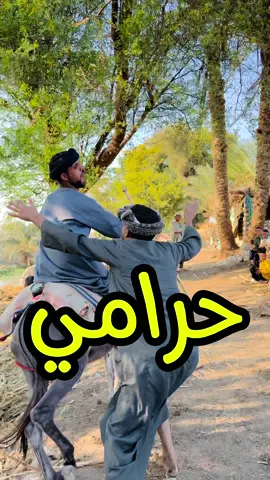 الحاج بذره نصب عليا  #علي_الصغير #الحاج_ريعو 