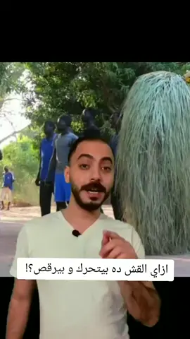 ازاي القش ده بيتحرك و بيرقص؟! 