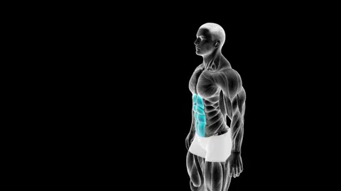 9 Killer Ab Exercises You NEED to Try 1. CABLE KNEELING CRUNCH   2. WHEEL ROLLOUT   3. LEG RAISE   4. DB DECLINE SIT UP   5. RUSSIAN TWIST   6. CABLE TWIST   7. LEVER AB CRUNCH   8. LEVER LYING LEG RAISE   9. LYING LEG RAISE