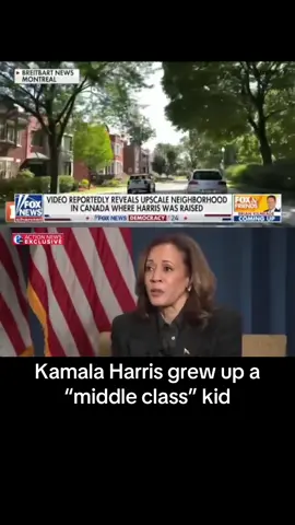 #KamalaHarris #Trump #Election #Democrat #Republican #America #foryou #foryoupage #fyp 