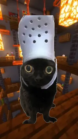 que significa caminar detras de mis amigos?#Gatoconsegos #consegos #hopecore 