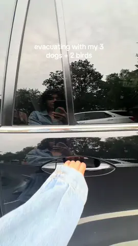 At least no one gets left behind 🥲 #hurricanehelene #evacuate 