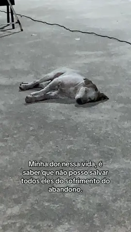 #foryou #tiktok #cachorro #amigofiel🐶 #abandono 