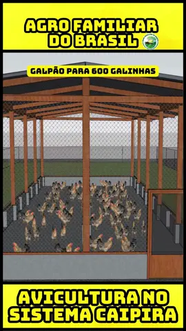 PROJETO PARA 600 POEDEIRAS #galinhacaipira #avicultura #agro 🌱 Para quem quer se destacar na criação de galinha caipira e ter sucesso com a produção de ovos caipira, é essencial investir no conhecimento e planejamento correto. Aqui no Agro Familiar do Brasil, ensinamos como organizar sua granja caipira e tornar o negócio mais lucrativo!  🐔 A criação sustentável de galinhas pode transformar sua propriedade em uma fonte de renda consistente e com alta eficiência. 💡 O sistema de produção de ovos caipira no sistema caipira é uma excelente oportunidade para o pequeno produtor rural. Com técnicas de manejo corretas, como o uso adequado da ração de postura, controle da produção de ovos e cuidado com o bem-estar das aves, você pode aumentar a produção de ovos orgânicos e alcançar melhores resultados. 📊 Para quem está iniciando na criação de galinhas caipiras, é fundamental entender a importância de monitorar os custos, tanto fixos quanto variáveis, para garantir a sustentabilidade do projeto. O uso de ração de qualidade e um bom planejamento do manejo das galinhas fazem toda a diferença no sucesso da sua granja caipira. Pequenos ajustes no manejo podem aumentar a produtividade e melhorar sua renda mensal. 🔑 Se você está em busca de dicas sobre como ganhar dinheiro com aves de postura manejo, não perca nossas dicas sobre como organizar sua produção e otimizar o ciclo produtivo! Da escolha das aves ao controle de custos, nosso objetivo é ajudá-lo a melhorar a produção de ovos de galinha caipira e a lidar com desafios como a queda de produção no frio. 📺 Quer aprender ainda mais? Visite nosso canal e assista ao vídeo completo para descobrir técnicas que podem transformar sua produção de ovos caipira. No canal, você encontra vídeos detalhados sobre cada etapa do processo, do sistema caipira até o uso correto de insumos. Não perca essa oportunidade de mudar seu negócio! O link está na bio! 🚀 📚 Adquira conhecimento sobre avicultura no sistema caipira e aumente sua renda com a produção de ovos caipira! Aprenda com nossos conteúdos diários e transforme sua criação de galinhas poedeiras, garantindo mais lucro e eficiência para o avicultor! 🌱💰