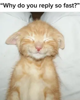 I feel Lonely  :) #fyp #foryoupage #schoollife #foryou #foryoupage #relatable #foryoupage #lonely 