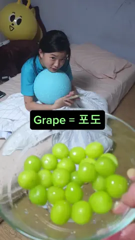 채니의 한국어 알리미 3교시 Happy Channy's Korean note 3rd class #reels #릴스 #채니의놀고먹자 #happychanny #class #korean #한국어 #수업 #language #repeat 