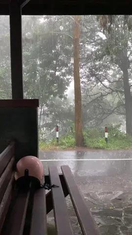 Lagune iso diputar balek neh tapi?