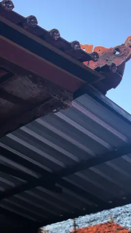 🤙🏻🤪🫳🏻  #EkspresikanDenganCapCut #2tak #rxkingindonesia #fypシ #rxspesial #2stroke #rxking135cc #