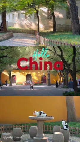 Thượng Hải - Tô Châu - Ô Trấn - Hàng Châu vào mùa thu siu lãng mạn nhẹ nhàng ✨💫🤩 #dulich #dulichtrungquoc #travel #traveltiktok #trungquoc #muathu #shanghai #hangzhou #suzhou #wuzhen #thuonghai #hangchau #tochau #otran #xuhuongtiktok #fyp 