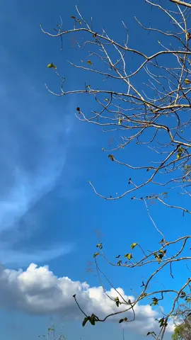 Kenapa suka lagu ini?
