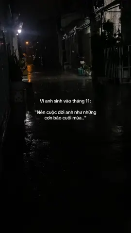 #hieu27th11 #tieucuc #captions 