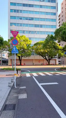 Apakah ada yang berpikir bahwa ini adalah kota mati ?  Sebenarnya ini bukanlah kota tanpa penghuni, kota ini sepi hanya pada waktu tertentu saja. Dikarenakan warga yang tinggal di kota ini mempunyai rutinitas kesibukan masing masing. Dan kebetulan saya mengambil video pendek ini pada saat pagi pukul 5.30 an waktu setempat dimana pada umumnya belum banyak orang yang keluar dari rumah.  📍Miyazaki - Jepang 