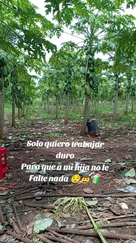 #Trabajarduro#paraqmmihijaestebien#Teamohija❤️