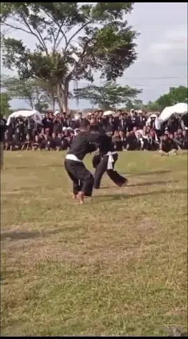 Era PATLIKUR🔥🐜#virall #pshtleting2024 #psht #pshtpusatmadiun #pshtjember #jemberant🐜 #fyp 