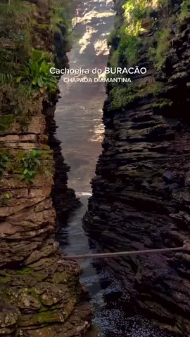 CHAPADA DIAMANTINA AGÊNCIA DE TURISMO TRILHANDOPELACHAPADA.COM.BR Nossa Agência Trilhando na Chapada é proposta num processo de oferecer uma experiência única para todos os clientes e turistas que buscam um excelente serviço de qualidade e segurança. Nós temos uma grande infraestrutura de carros, guias bilíngue e equipamentos. Vale ressaltar que a Trilhando Pela Chapada é dotada de uma experiência de mais de 25 anos pelas trilhas e caminhos da Chapada Diamantina. Entre em contato conosco e vamos viver o melhor de suas férias. Agradecemos a todos e aguardamos por vocês. #chapadadiamantina #trip #lencois #nature #cachoeiradoburacão #surreal #viagens 