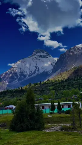 Basho Valley 🥀❤️ Weekly Trips ki Details ky lia Insta Ya Whatsaap Pay Rabta Kijyay. Group our Families ky Lia Special offer 4 Seats Book karain 1 Seats Mukammal Free. 8 Din 7 Din 5 Din Hunza Skardu Ky Trips Har Friday Lahore sy Departure Karta ha. #gbtourism #gbtourismclub #gbtc #jumailkhokhar #pakistan #foryoupage #foryoupage #foryou #foryoupageofficiall #skarduvalley #hunza_valley #swat #kashmir #tourism #hazaramotorway #viralvideo #viralclip #all #nature #vehical #sajidsadpara #mountains #skardu #viralreels