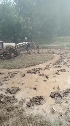 ripuh mawa TL800 di kotakan letik mah sayang