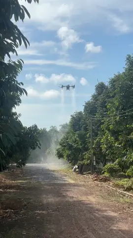 ฉ่ำๆ ลดเวลา ลดแรงงาน #โดรนพ่นยาสวนทุเรียน #โดรนเกษตร #สวนทุเรียน 