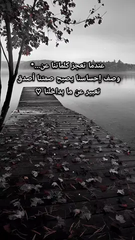 #اقتباسات .عن الحياة#عندما تعجز كلماتنا عن وصف إحساسنا يصبح صمتنا أصدق تعبير عن ما بداخلنا ♡* #🎶🦋🎵🎻🎼 #🍂🖤🦋  #اقتباسات_عبارات_خواطر🖤🦋🥀  #fypシ゚🍂viral🖤tiktok☆♡🦋 