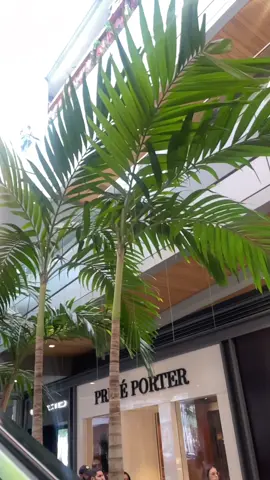 Quick Cuban lunch in Brickell City Centre #miami #brickell #brickellcitycenter #citycentermiami #miamieats #cuban #cubanmiami #cubanfood #dayinmylife #fyp #explorepage #trending #blackgirlluxury #chanel #travel 