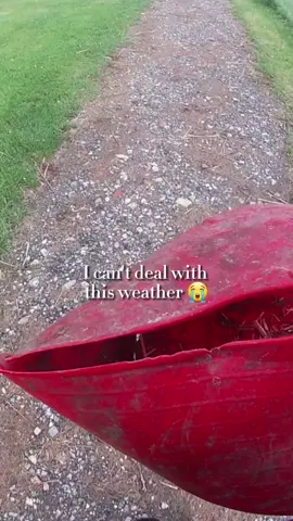who wants more of go pros of me going to get grace ✨️ ( stupid English weather 😡 ) #gopro #bethridesgopro #bethrides #chestcam #horse #goprohorse #horsegopro #thingsisay #chestcamhorse SHOUTOUTS: @Kay Kay @♡︎ 🌸ella🌸♡︎ @🫶🎀αყℓα🎀🫶 @Brooke(demirs version) @That pony obsessed girl @𝒟𝒶𝓇𝒸𝒾ℯ(morgs version)! @Snickers🔥🔥 @𝐞 𝐢 𝐥 𝐢 𝐝 𝐡 🎀 @Spirit & Movie⚡️💗 @𝐓 𝐄 𝐒 𝐒 ꨄ @equestrian_15 @Scarlett & Moscato @emilyyy 🐴🤍 @Equestrians_fp24 @harps🎃🍂☕️ @Martuks🤍 @isobelnorton6 @Equestrian Yasmeen 🐎❤️ @Paardjess.by.juju 