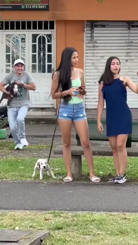 Change of pet dog for pig 😂 #funnyvideos #funnymoments #prankvideos #funnyvideo #funny #prank #funnyprankvideos #prankvideo #funnypranks #funnyprank #fypシ 