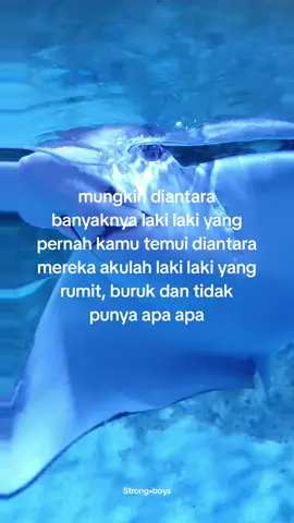 SadKetua🙂 #storymalam🌻 #queststory #sadvibes🥀 #galaubrutal #storysad🥀 #story🌻 #fypシ゚viral @𝐒𝐜𝐨𝐫𝐩𝐢𝐨 𝐠𝐢𝐫𝐥𝐬  #fyp #zmn14⚡ #storytime #tongkronganmalam🔥 #beranda #fypシ゚ 