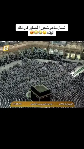 #بندر_بليلة #سورة_مريم #السعودية🇸🇦 #بندر_بليلة #الحجاز #شؤون_الأئمة_والمؤذنين 