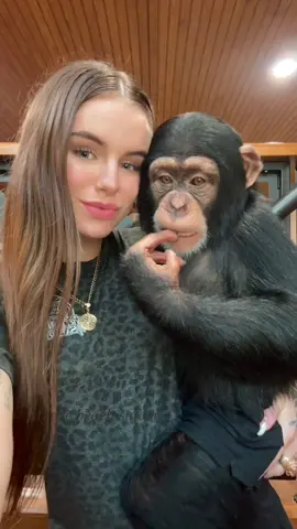 Ooo baby Vanara🦍🩷☮️  • • • #Chimps #chimpanzee #chimps #apes #cuteanimals #animalsaddict #animals #explorepage #animals #animallover #monkey #monkeys #monkeyseemonkeydo #monkeylove #onelove #family #myfamily #riolilly #vanara
