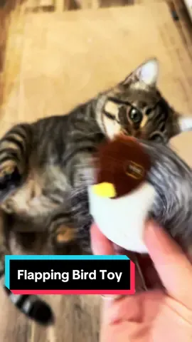 Had to upgrade to the flapping bird #catsoftiktok #cat #cattok #cattoys #flappingbirdtoy #birdtoy #MLBB8TH #tiktokmademebuyit #cuteanimals #pets #PetsOfTikTok #animalsoftiktok #funnyanimals #showcase #tiktokshop #addtocart #buynow #falldealsforyou #seasonalessentials #potaroma #fyf #trending #fyp @Potaroma Pets 