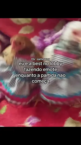 mt euiela KKKKKK 💯😻🔥 #freefire #garenafreefire #fy #fyp #foryoupage 
