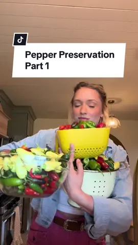 peter piper picked a peck of pickled peppers and dropped them all off at my house 🙃 Part 1 #peppers #salsa #salsarecipe #homestead #Recipe #garden #gardensalsa 