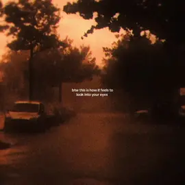 light brown eyes, full of emotions and energy, but still the calmest souls on earth. #fypage #astetic #lightasthetic #browneyes #beauty #vibe #goviral #fyy 