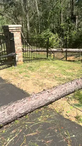Thank you God for watching over us and our family! Praying for all who lost loved ones and had damage from hurrican Helene. This was the scariest situation I have ever been in. #hurricanehelene #helene #stormdamage #hurricaneseason 