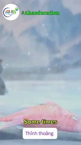 5 phút học tiếng Anh mỗi ngày 😍👉🏻 #hoctienganh #xuhuongtiktok #hoccungtiktok #hoctiengaanh 