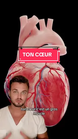 N’hésite pas re-visionner pour tout mémoriser l’ami ! #medecine #coeur #cardiologie #anatomie #medecin #santé #prevention #apprendresurtiktok #pedagogiemedicale #VulgarisationMédicale #infirmiere #infirmier #ifsi #soignant
