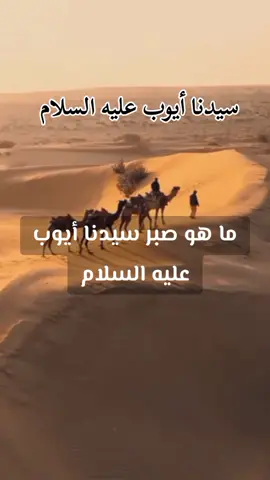 قصص دينية، صبر سيدنا ايوب عليه السلام  #قصص_دينيه #ثقافة_دينية #صبر_ايوب #سيدنا_ايوب_عليه_السلام #تيك_توك #فوريو #إكسبلورر #islamic_video #islamicstory #ayoub #tiktokviral #fypageシ #explore 