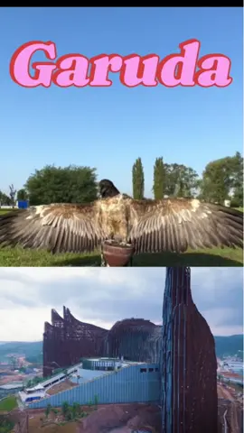 garuda asli memang tunduk #ikn 